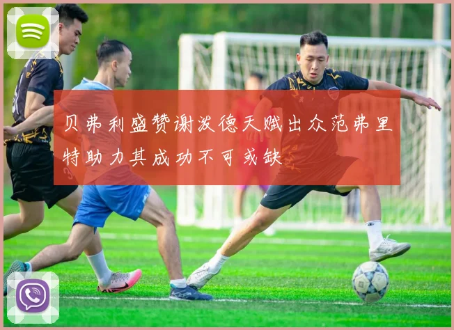 贝弗利盛赞谢泼德天赋出众范弗里特助力其成功不可或缺